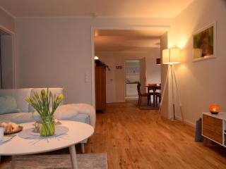 Nice apartment with sauna, cleaning included - Merlsheim - 9