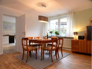 Nice apartment with sauna, cleaning included - Merlsheim - 7