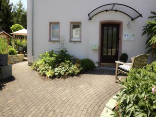 Nice apartment with sauna, cleaning included - Merlsheim - 3