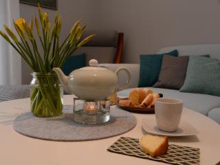 Nice apartment with sauna, cleaning included - Merlsheim - 1