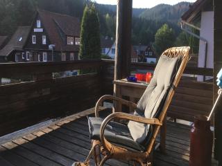 Apartment in Kamschlacken near Braunlage Ski Area, cleaning included - Kamschlacken - 5