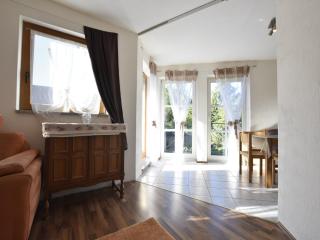 Apartment in Kossau near Lake Schluensee, cleaning included - Kossau - 6