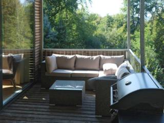 Holiday Home in Freital with Sauna, cleaning included - Freital - 5