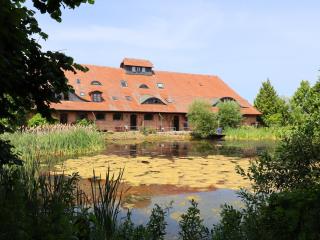 Apartment in Germany near the Forest, cleaning included - Buschenhagen - 5