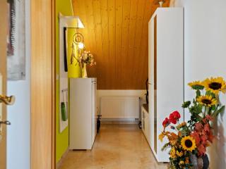 Apartment in Schwarzenberg with Terrace Views, cleaning included - Pöhla - 1