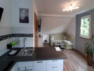 Quaint apartment in Bergk with garden, cleaning included - Burgk - 4