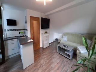Quaint apartment in Bergk with garden, cleaning included - Burgk - 9