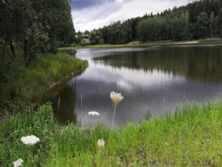 Holiday Home in G ntersberge with garden, cleaning included - Güntersberge - 4
