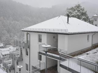 Apartment on the 2nd floor with balcony and view, cleaning included - Willingen - 3