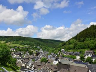 Apartment on the 2nd floor with balcony and view, cleaning included - Willingen - 7