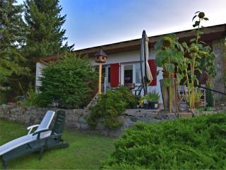 Holiday Home in G ntersberge with garden, cleaning included - Güntersberge - 3