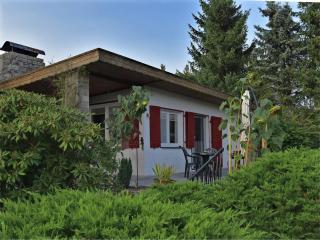 Holiday Home in G ntersberge with garden, cleaning included - Güntersberge - 9