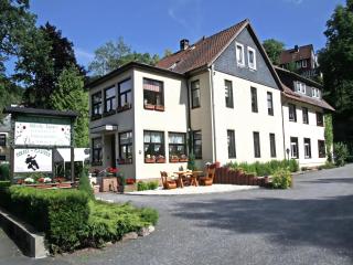 Flat in Wildemann near Hahnenklee Ski Area, cleaning included - Wildemann - 9