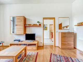 Villa in Ore Mountains near Hiking Trails, cleaning included - Grünhainichen - 1