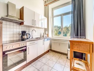 Villa in Ore Mountains near Hiking Trails, cleaning included - Grünhainichen - 8