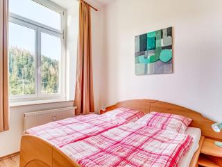 Villa in Ore Mountains near Hiking Trails, cleaning included - Grünhainichen - 7