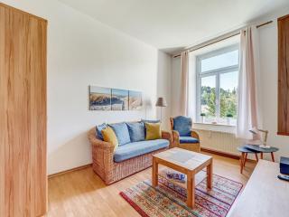 Villa in Ore Mountains near Hiking Trails, cleaning included - Grünhainichen - 0