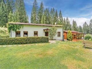 Holiday home with shared pool in Jägersgrün, cleaning included - Jägersgrün - 5