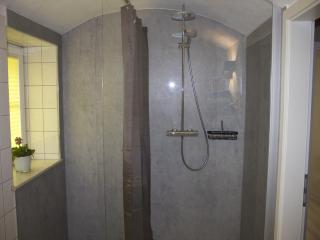 Holiday home in Saxony with garden, cleaning included - Struppen - 5