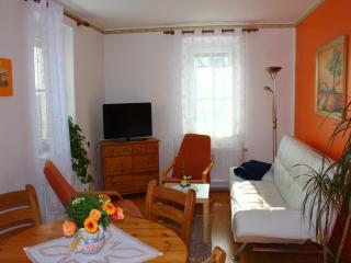 Holiday home in Saxony with garden, cleaning included - Struppen - 0