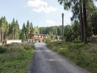 Apartment in Saxony with communal pool, cleaning included - Jägersgrün - 3
