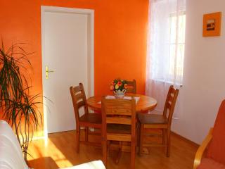 Holiday home in Saxony with garden, cleaning included - Struppen - 8