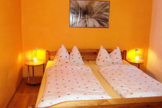 Holiday home in Saxony with garden, cleaning included - Struppen - 6