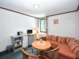 Apartment in Saxony with communal pool, cleaning included - Jägersgrün - 8
