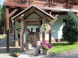 Apartment in Saxony with communal pool, cleaning included - Jägersgrün - 2