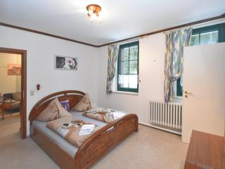 Apartment in Saxony with communal pool, cleaning included - Jägersgrün - 5