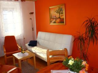 Holiday home in Saxony with garden, cleaning included - Struppen - 2