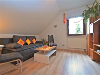 Apartment in Plauen near Vogtland Arena, cleaning included - Werda - 9