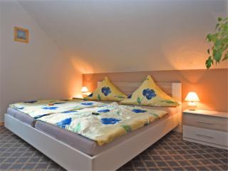 Apartment in Plauen near Vogtland Arena, cleaning included - Werda - 5