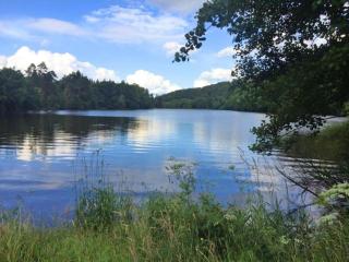 Comfortable holiday home in the Harz Mountains, cleaning included - Güntersberge - 1
