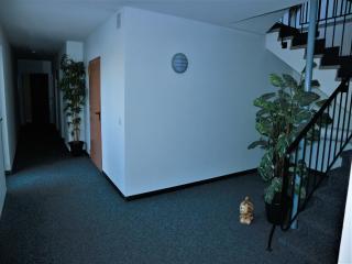 Peaceful Stay in Winterberg, cleaning included - 2