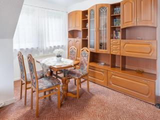 Apartment in Dresden with swimming pool, cleaning included - Dresda - 0