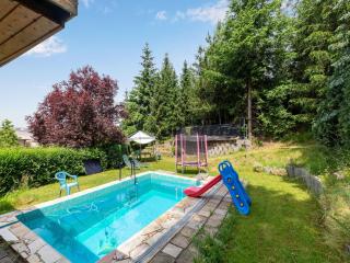 Apartment in Dresden with swimming pool, cleaning included - Dresda - 9