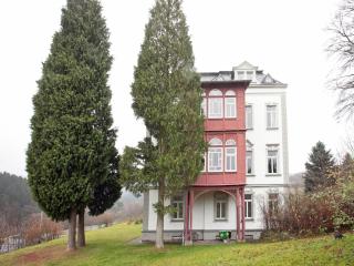 Villa in Borstendorf with Nature Views, cleaning included - Grünhainichen - 3