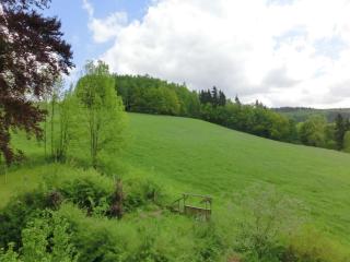 Villa in Borstendorf with Nature Views, cleaning included - Grünhainichen - 2