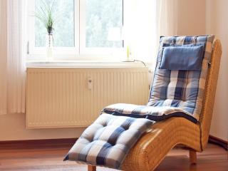 Villa in Borstendorf with Nature Views, cleaning included - Grünhainichen - 7