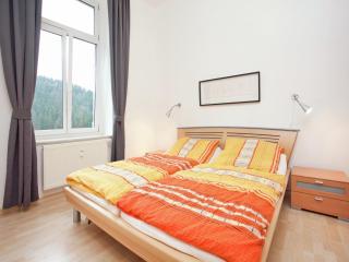 Villa in Borstendorf with Nature Views, cleaning included - Grünhainichen - 6