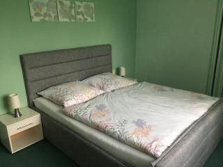 Apartment in Harz with Terrace, cleaning included - Ballenstedt - 7
