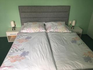 Apartment in Harz with Terrace, cleaning included - Ballenstedt - 1