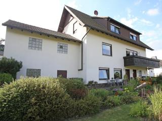 Apartment near the ski area in Diemelsee, cleaning included - Heringhausen - 1