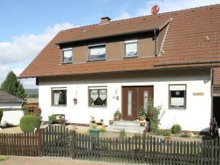 Apartment near the ski area in Diemelsee, cleaning included - Heringhausen - 2