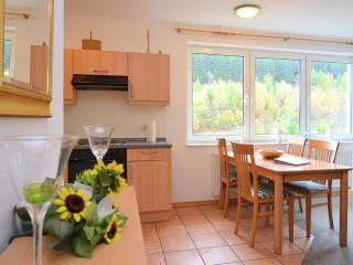 Apartment near the Hessian mountains, cleaning included - Willingen - 8