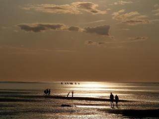 Apartment in Altenbruch near Shipping Route, cleaning included - Cuxhaven - 6