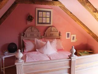 Apartment in Damgarten near Sandy Beaches, cleaning included - Ribnitz-Damgarten - 0