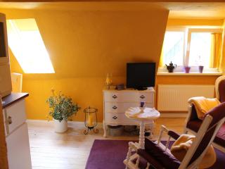 Apartment in Damgarten near Sandy Beaches, cleaning included - Ribnitz-Damgarten - 1