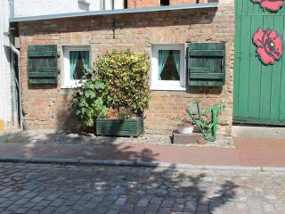 Apartment in Damgarten near Sandy Beaches, cleaning included - Ribnitz-Damgarten - 7